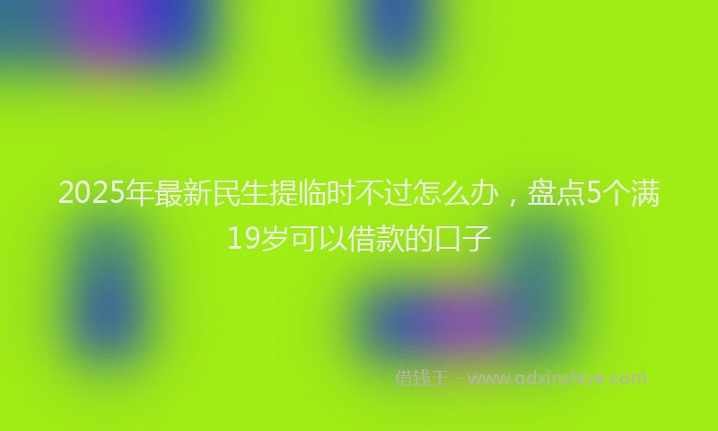 2025年最新民生提临时不过怎么办，盘点5个满19岁可以借款的口子