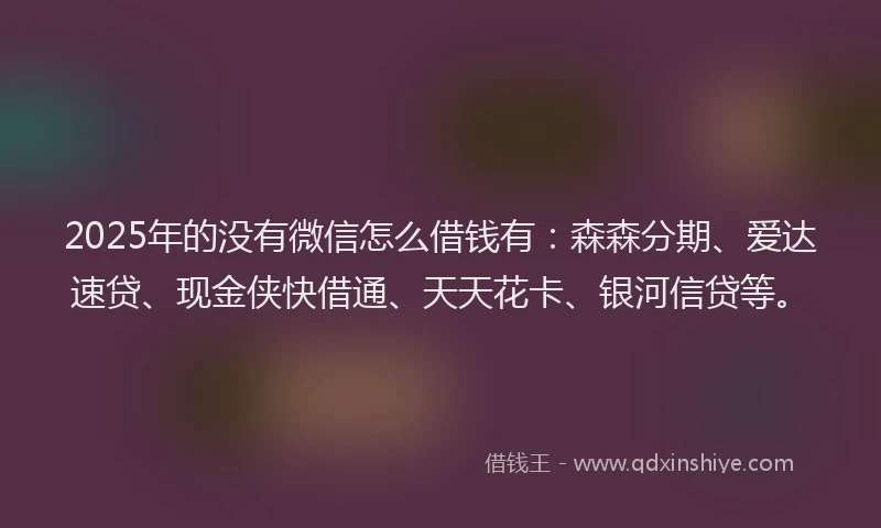 2025年的没有微信怎么借钱有：森森分期、爱达速贷、现金侠快借通、天天花卡、银河信贷等。