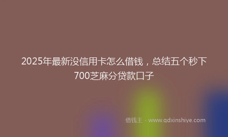 2025年最新没信用卡怎么借钱，总结五个秒下700芝麻分贷款口子