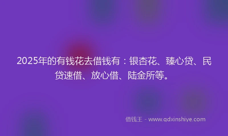 2025年的有钱花去借钱有：银杏花、臻心贷、民贷速借、放心借、陆金所等。