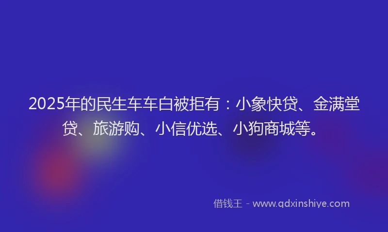 2025年的民生车车白被拒有：小象快贷、金满堂贷、旅游购、小信优选、小狗商城等。