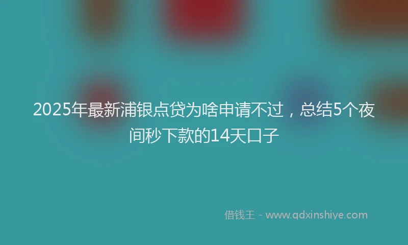 2025年最新浦银点贷为啥申请不过，总结5个夜间秒下款的14天口子