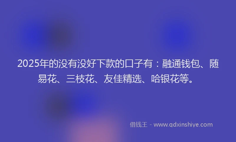 2025年的没有没好下款的口子有：融通钱包、随易花、三枝花、友佳精选、哈银花等。