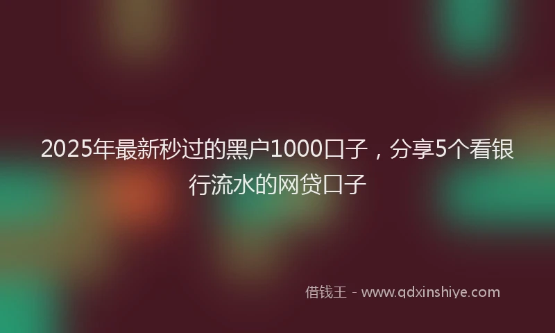 2025年最新秒过的黑户1000口子，分享5个看银行流水的网贷口子