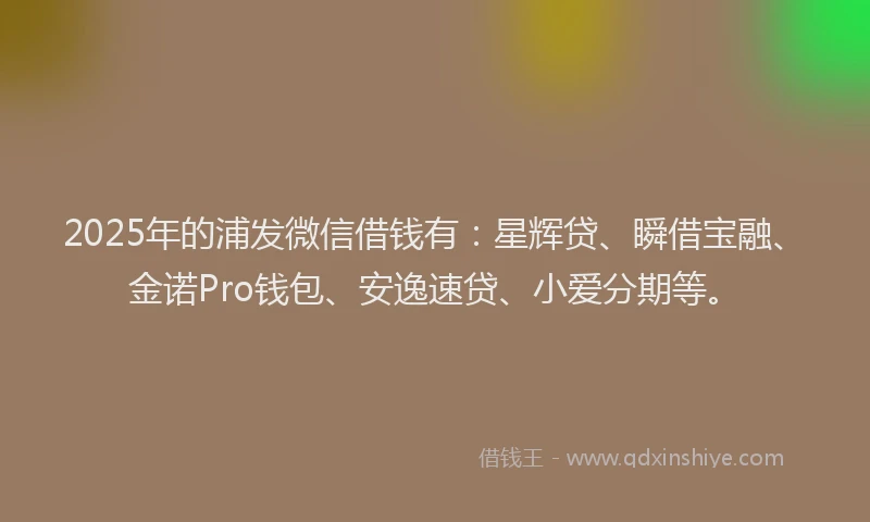 2025年的浦发微信借钱有：星辉贷、瞬借宝融、金诺Pro钱包、安逸速贷、小爱分期等。