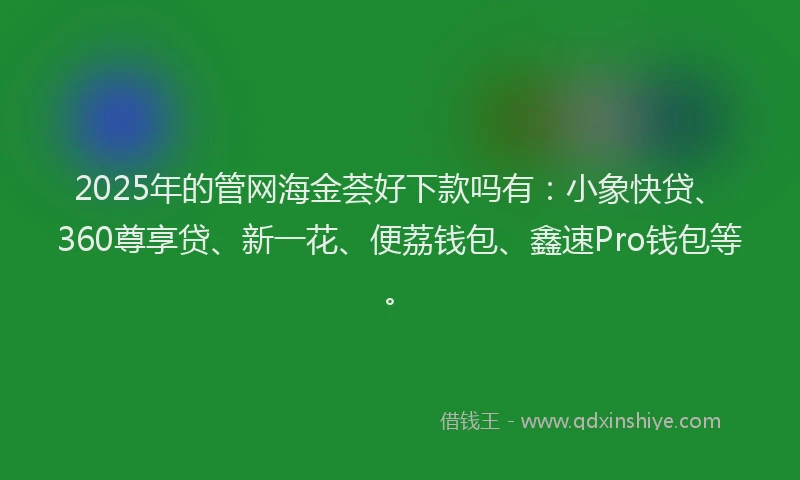 2025年的管网海金荟好下款吗有：小象快贷、360尊享贷、新一花、便荔钱包、鑫速Pro钱包等。