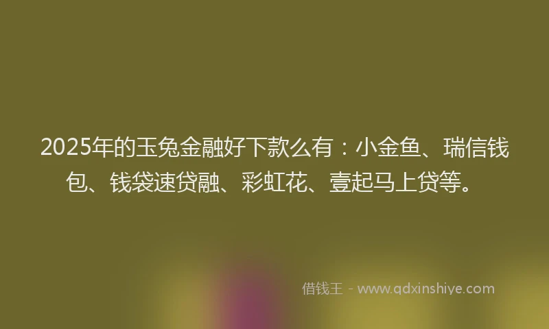 2025年的玉兔金融好下款么有：小金鱼、瑞信钱包、钱袋速贷融、彩虹花、壹起马上贷等。