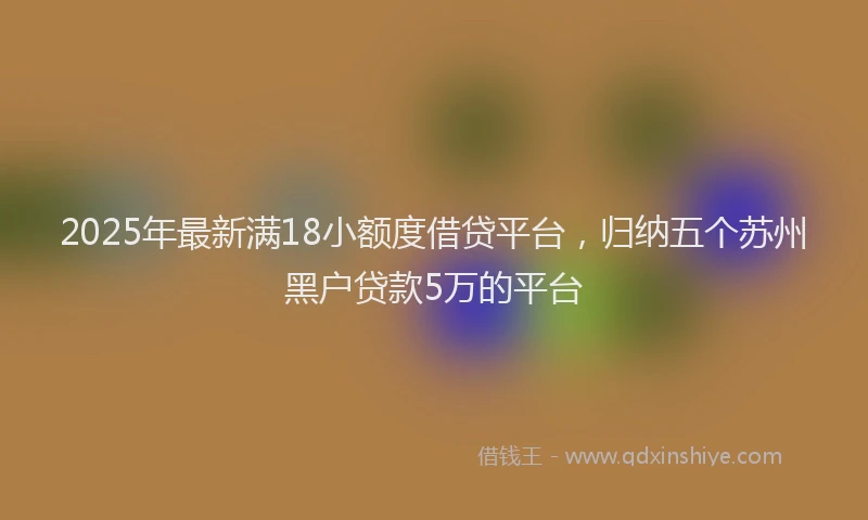 2025年最新满18小额度借贷平台，归纳五个苏州黑户贷款5万的平台