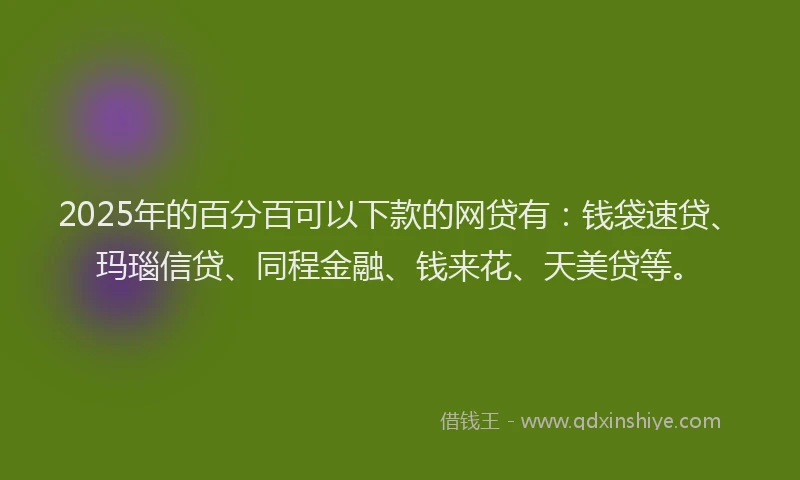 2025年的百分百可以下款的网贷有：钱袋速贷、玛瑙信贷、同程金融、钱来花、天美贷等。