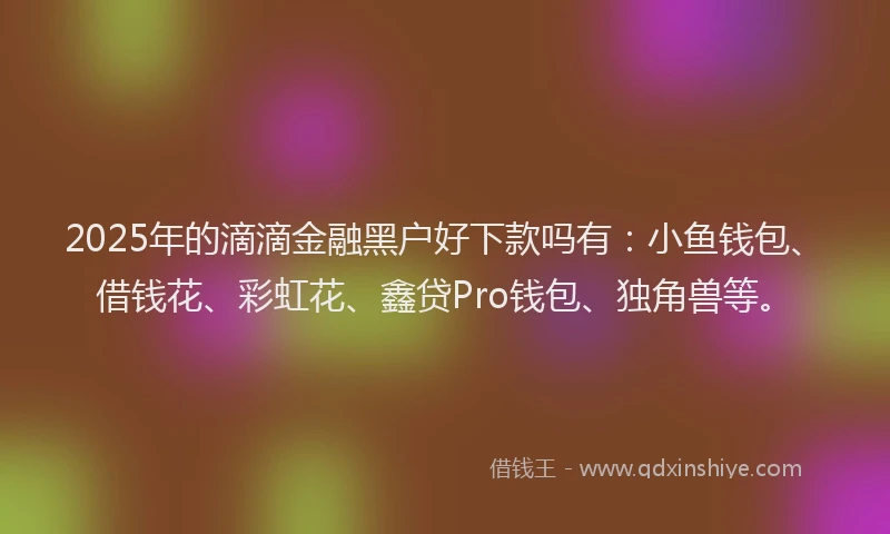 2025年的滴滴金融黑户好下款吗有：小鱼钱包、借钱花、彩虹花、鑫贷Pro钱包、独角兽等。