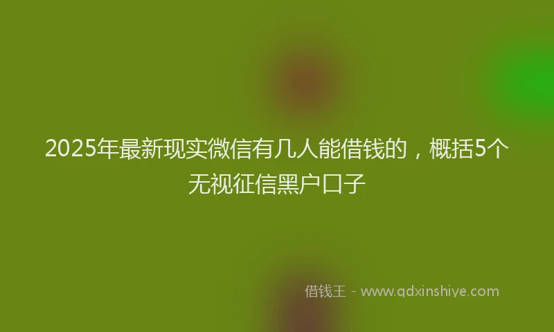 2025年最新现实微信有几人能借钱的，概括5个无视征信黑户口子