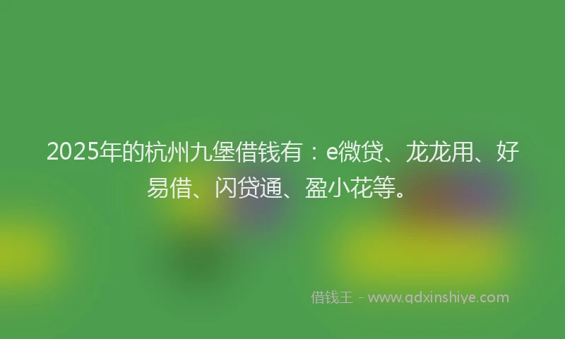 2025年的杭州九堡借钱有：e微贷、龙龙用、好易借、闪贷通、盈小花等。
