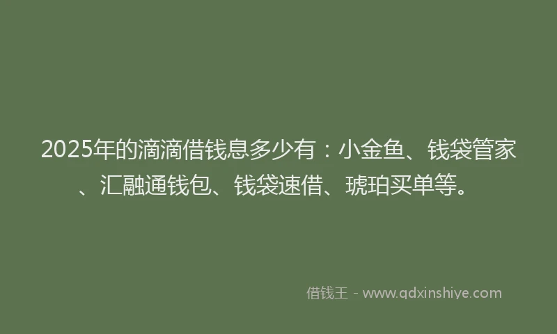 2025年的滴滴借钱息多少有：小金鱼、钱袋管家、汇融通钱包、钱袋速借、琥珀买单等。