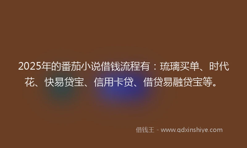 2025年的番茄小说借钱流程有：琉璃买单、时代花、快易贷宝、信用卡贷、借贷易融贷宝等。