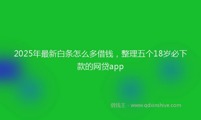 2025年最新白条怎么多借钱，整理五个18岁必下款的网贷app