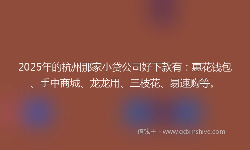 2025年的杭州那家小贷公司好下款有：惠花钱包、手中商城、龙龙用、三枝花、易速购等。