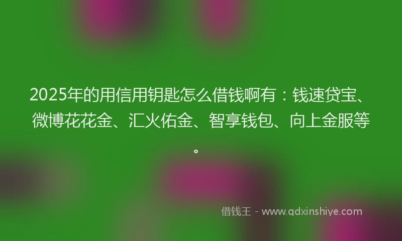 2025年的用信用钥匙怎么借钱啊有：钱速贷宝、微博花花金、汇火佑金、智享钱包、向上金服等。