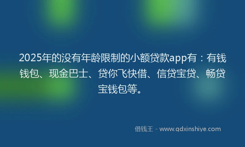 2025年的没有年龄限制的小额贷款app有：有钱钱包、现金巴士、贷你飞快借、信贷宝贷、畅贷宝钱包等。