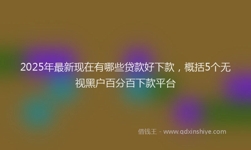 2025年最新现在有哪些贷款好下款，概括5个无视黑户百分百下款平台