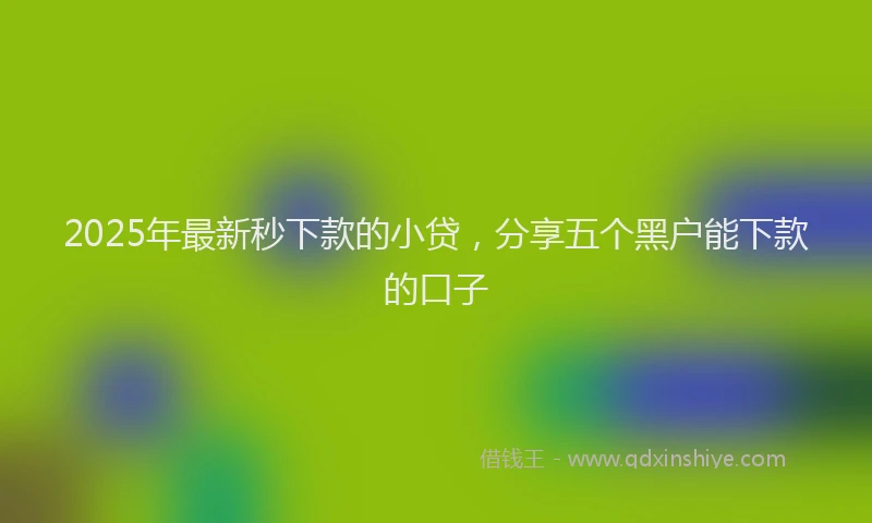 2025年最新秒下款的小贷，分享五个黑户能下款的口子