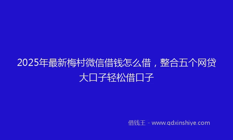 2025年最新梅村微信借钱怎么借，整合五个网贷大口子轻松借口子