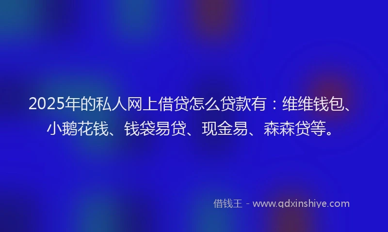 2025年的私人网上借贷怎么贷款有：维维钱包、小鹅花钱、钱袋易贷、现金易、森森贷等。