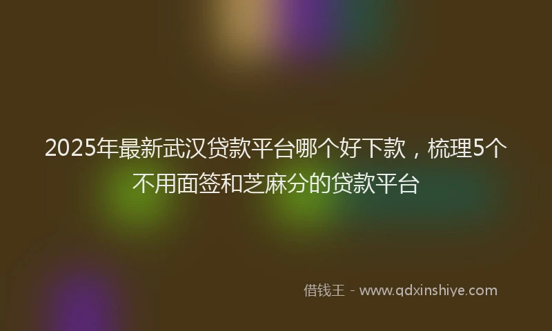 2025年最新武汉贷款平台哪个好下款，梳理5个不用面签和芝麻分的贷款平台