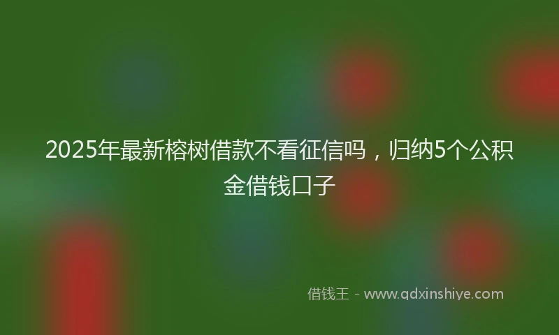 2025年最新榕树借款不看征信吗，归纳5个公积金借钱口子