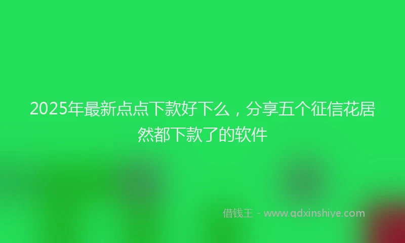 2025年最新点点下款好下么，分享五个征信花居然都下款了的软件