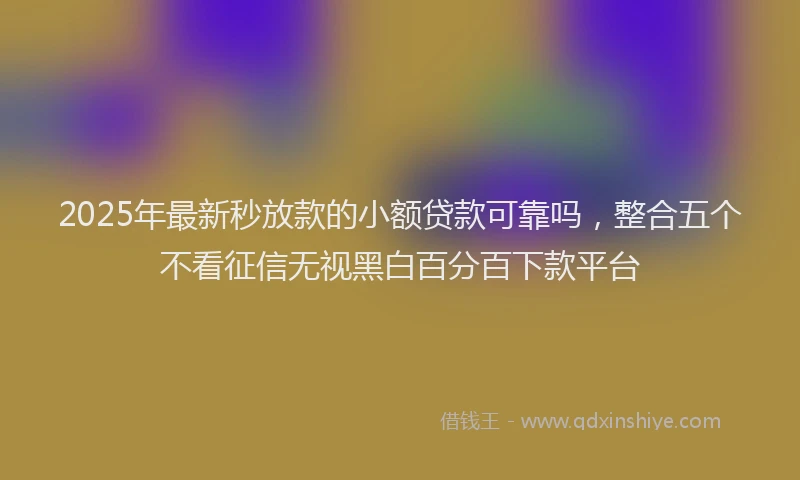 2025年最新秒放款的小额贷款可靠吗，整合五个不看征信无视黑白百分百下款平台