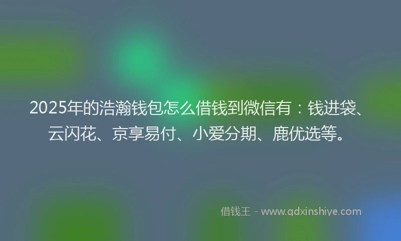 2025年的浩瀚钱包怎么借钱到微信有：钱进袋、云闪花、京享易付、小爱分期、鹿优选等。