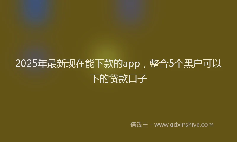 2025年最新现在能下款的app，整合5个黑户可以下的贷款口子
