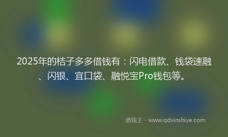 2025年的桔子多多借钱有：闪电借款、钱袋速融、闪银、宜口袋、融悦宝Pro钱包等。