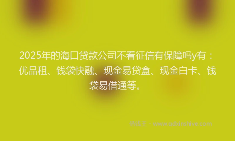 2025年的海口贷款公司不看征信有保障吗y有：优品租、钱袋快融、现金易贷盒、现金白卡、钱袋易借通等。