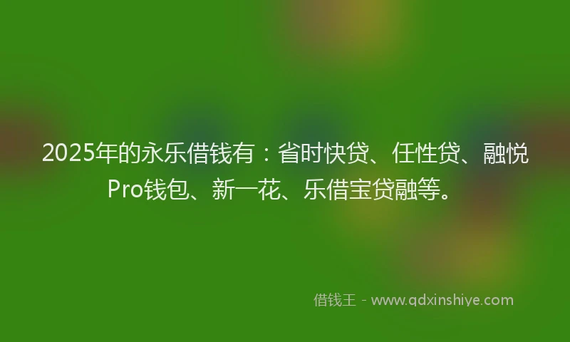 2025年的永乐借钱有：省时快贷、任性贷、融悦Pro钱包、新一花、乐借宝贷融等。