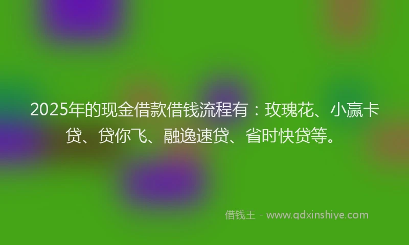 2025年的现金借款借钱流程有：玫瑰花、小赢卡贷、贷你飞、融逸速贷、省时快贷等。