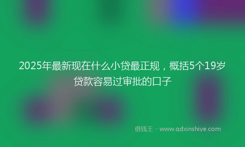 2025年最新现在什么小贷最正规，概括5个19岁贷款容易过审批的口子