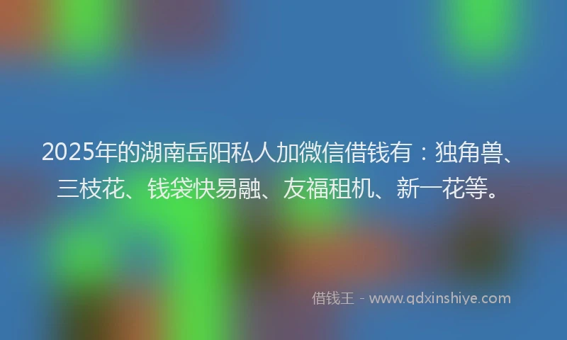 2025年的湖南岳阳私人加微信借钱有：独角兽、三枝花、钱袋快易融、友福租机、新一花等。