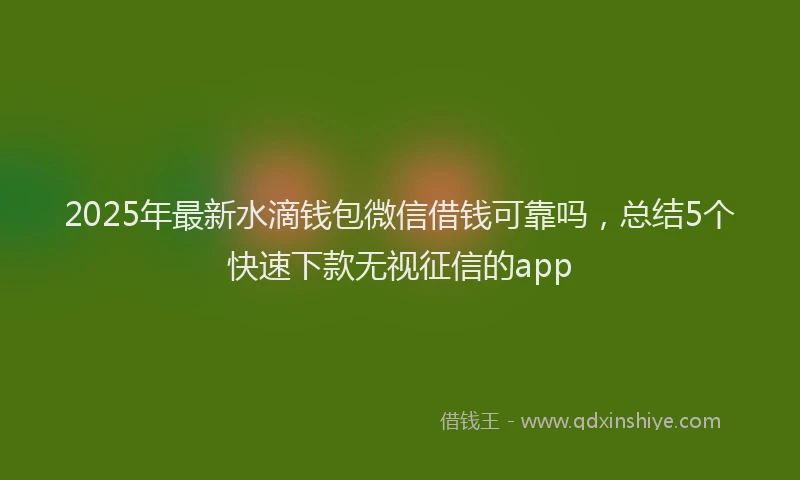2025年最新水滴钱包微信借钱可靠吗，总结5个快速下款无视征信的app