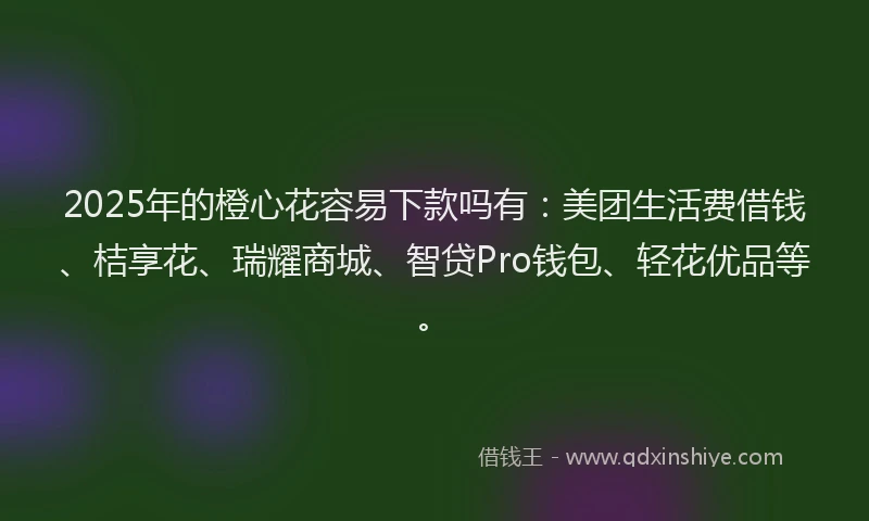 2025年的橙心花容易下款吗有：美团生活费借钱、桔享花、瑞耀商城、智贷Pro钱包、轻花优品等。