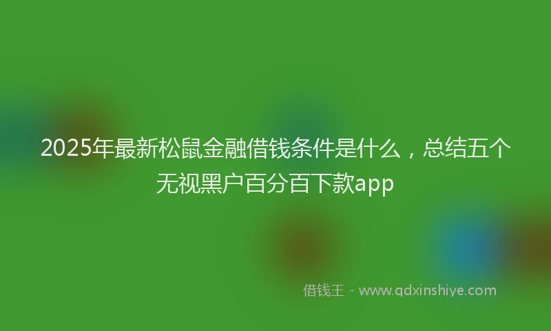 2025年最新松鼠金融借钱条件是什么，总结五个无视黑户百分百下款app