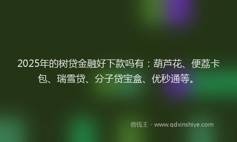 2025年的树贷金融好下款吗有：葫芦花、便荔卡包、瑞雪贷、分子贷宝盒、优秒通等。