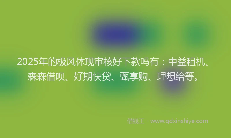 2025年的极风体现审核好下款吗有：中益租机、森森借呗、好期快贷、甄享购、理想给等。