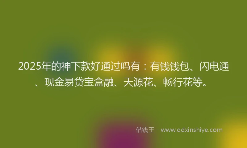 2025年的神下款好通过吗有：有钱钱包、闪电通、现金易贷宝盒融、天源花、畅行花等。