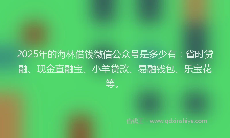 2025年的海林借钱微信公众号是多少有：省时贷融、现金直融宝、小羊贷款、易融钱包、乐宝花等。