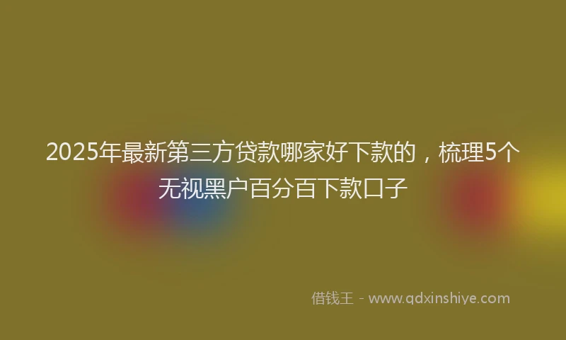2025年最新第三方贷款哪家好下款的，梳理5个无视黑户百分百下款口子