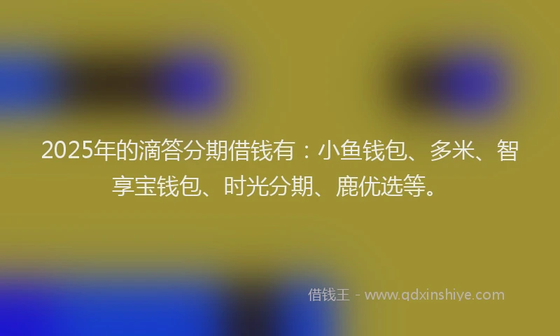 2025年的滴答分期借钱有：小鱼钱包、多米、智享宝钱包、时光分期、鹿优选等。