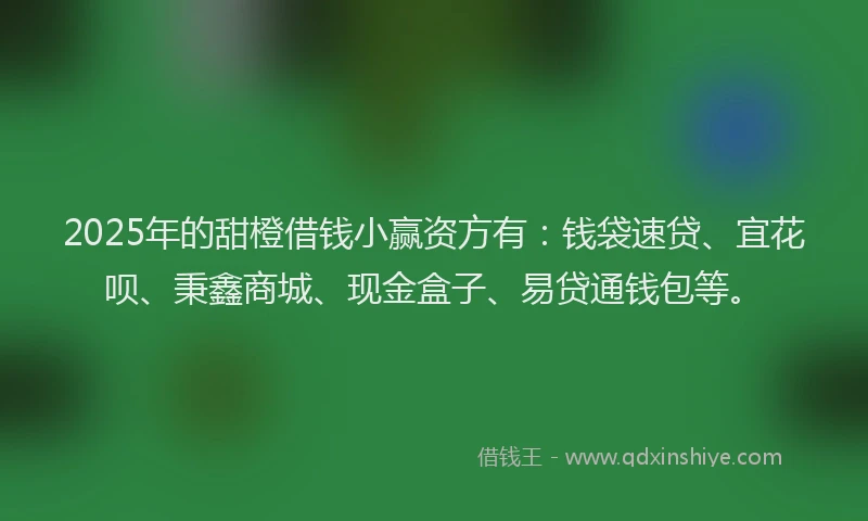 2025年的甜橙借钱小赢资方有：钱袋速贷、宜花呗、秉鑫商城、现金盒子、易贷通钱包等。