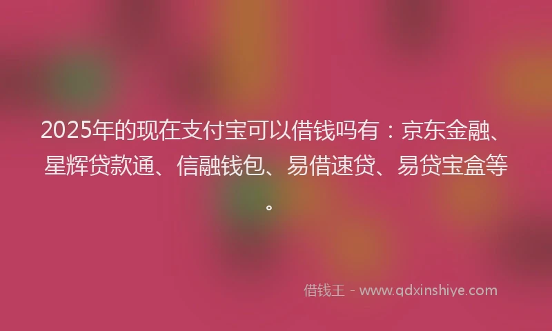 2025年的现在支付宝可以借钱吗有：京东金融、星辉贷款通、信融钱包、易借速贷、易贷宝盒等。