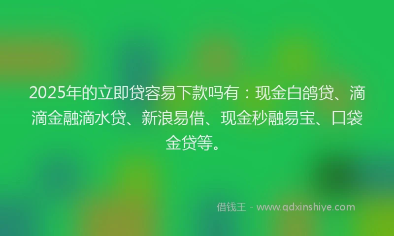 2025年的立即贷容易下款吗有：现金白鸽贷、滴滴金融滴水贷、新浪易借、现金秒融易宝、口袋金贷等。